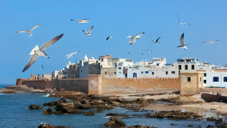 taxi agadir essaouira